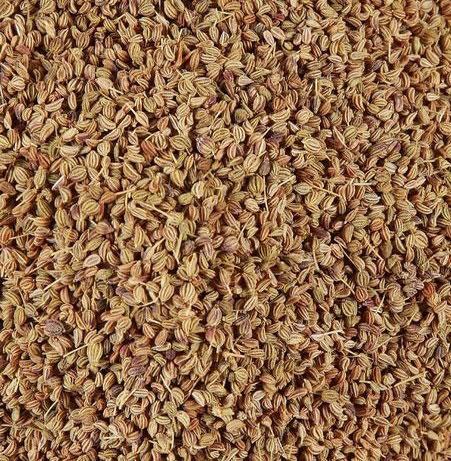 KHURASANI AJWAIN