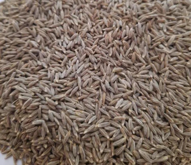 CUMIN SEED (JEERA)