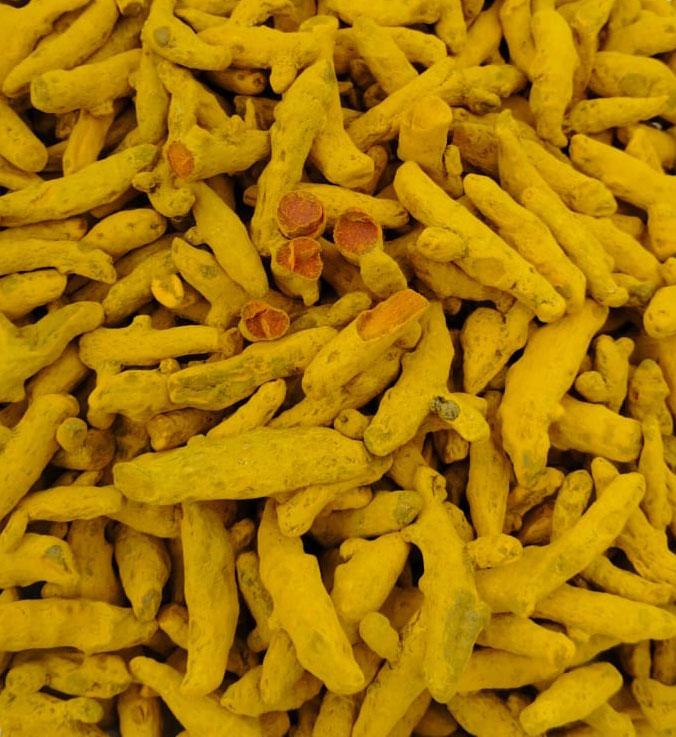 TURMERIC (HALDI)