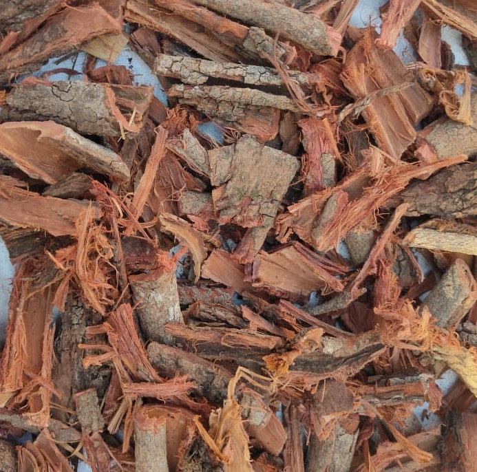 KACHNAR BARK