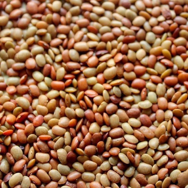 KULTHI 