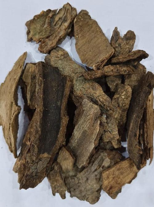 MENDA LAKDI (MEDA LAKDI)