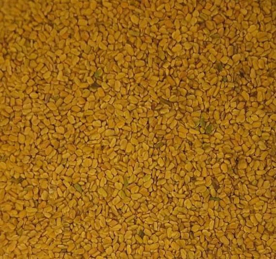 FENUGREEK SEEDS (METHI DANA)