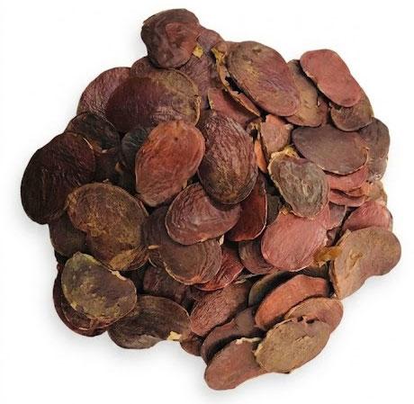 PALASH SEED 