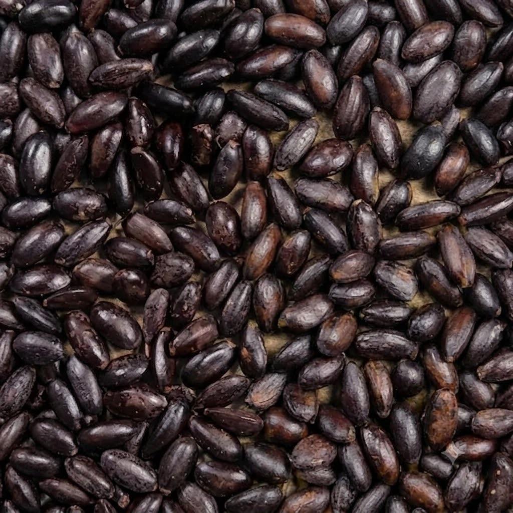 SITAFAL SEEDS