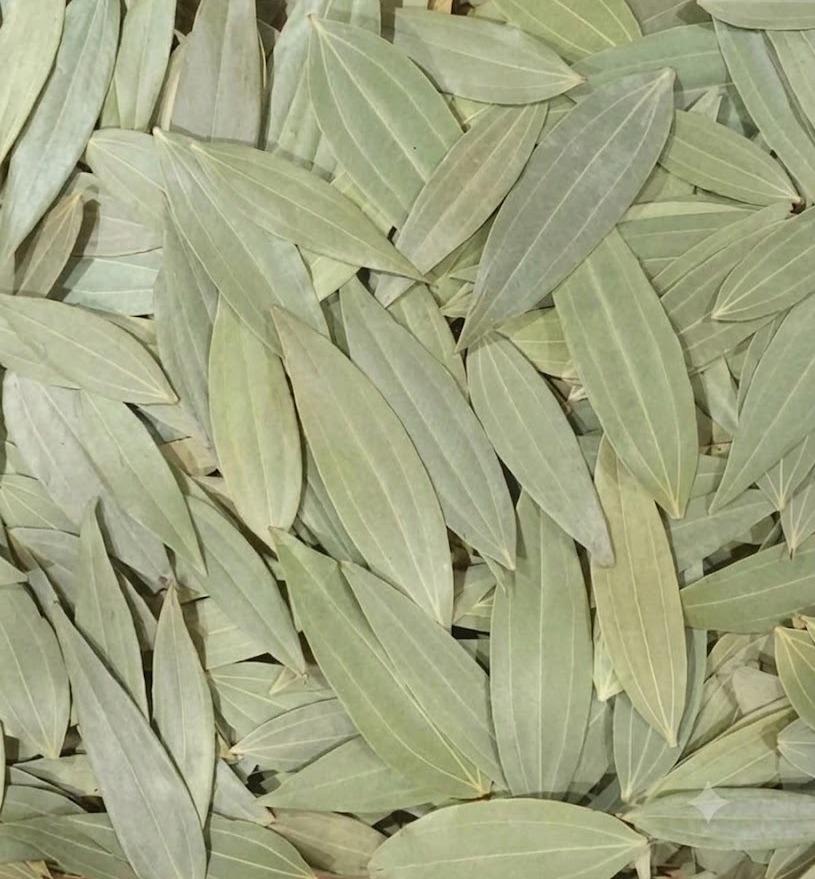 TAMALPATRA (BAY LEAF)
